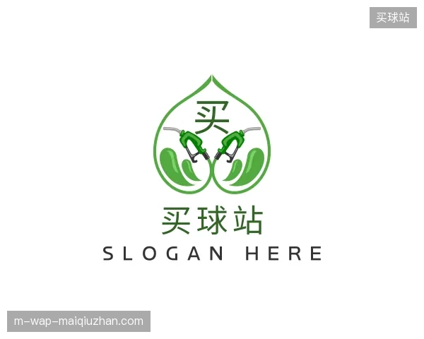 了解买球站中国官网